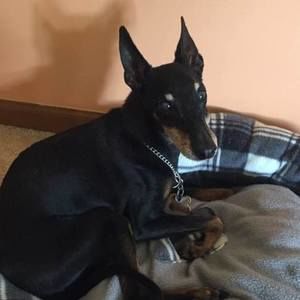 Meet your Posher, Joanne